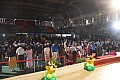 g05_002.jpg