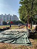 IMG_4264.jpg IMG_4264.jpg