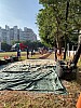IMG_4266.jpg IMG_4266.jpg