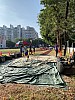 IMG_4267.jpg IMG_4267.jpg
