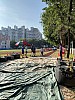 IMG_4274.jpg IMG_4274.jpg
