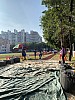 IMG_4284.jpg IMG_4284.jpg