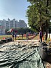 IMG_4286.jpg IMG_4286.jpg