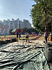 IMG_4287.jpg IMG_4287.jpg