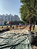 IMG_4288.jpg IMG_4288.jpg