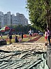 IMG_4296.jpg IMG_4296.jpg