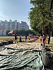 IMG_4301.jpg IMG_4301.jpg