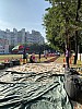 IMG_4303.jpg IMG_4303.jpg