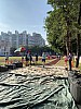 IMG_4310.jpg IMG_4310.jpg