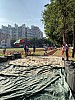 IMG_4320.jpg IMG_4320.jpg