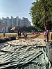 IMG_4321.jpg IMG_4321.jpg