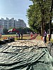 IMG_4333.jpg IMG_4333.jpg