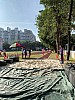IMG_4335.jpg IMG_4335.jpg