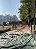 IMG_4336.jpg IMG_4336.jpg