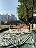 IMG_4338.jpg IMG_4338.jpg