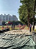 IMG_4342.jpg IMG_4342.jpg