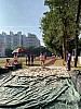 IMG_4343.jpg IMG_4343.jpg