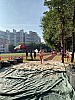 IMG_4345.jpg IMG_4345.jpg