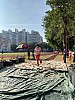 IMG_4346.jpg IMG_4346.jpg
