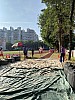 IMG_4350.jpg IMG_4350.jpg