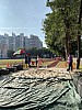 IMG_4355.jpg IMG_4355.jpg