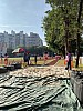 IMG_4356.jpg IMG_4356.jpg