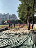 IMG_4360.jpg IMG_4360.jpg
