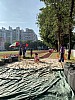 IMG_4361.jpg IMG_4361.jpg