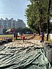IMG_4363.jpg IMG_4363.jpg