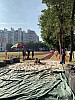 IMG_4365.jpg IMG_4365.jpg