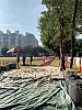 IMG_4368.jpg IMG_4368.jpg