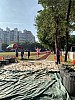 IMG_4369.jpg IMG_4369.jpg