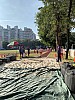 IMG_4371.jpg IMG_4371.jpg