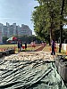 IMG_4372.jpg IMG_4372.jpg