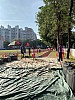 IMG_4373.jpg IMG_4373.jpg