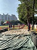 IMG_4375.jpg IMG_4375.jpg