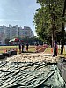 IMG_4376.jpg IMG_4376.jpg