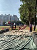 IMG_4377.jpg IMG_4377.jpg