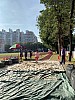 IMG_4379.jpg IMG_4379.jpg