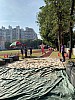 IMG_4382.jpg IMG_4382.jpg