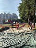 IMG_4383.jpg IMG_4383.jpg