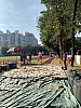 IMG_4384.jpg IMG_4384.jpg
