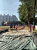 IMG_4385.jpg IMG_4385.jpg