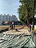 IMG_4388.jpg IMG_4388.jpg