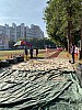IMG_4390.jpg IMG_4390.jpg