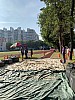 IMG_4392.jpg IMG_4392.jpg