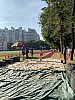 IMG_4393.jpg IMG_4393.jpg