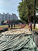 IMG_4395.jpg IMG_4395.jpg