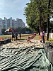 IMG_4396.jpg IMG_4396.jpg