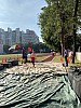 IMG_4398.jpg IMG_4398.jpg